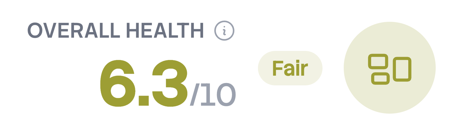 Dashboard header showing an overall health score of 6.3 out of 10, labeled Fair